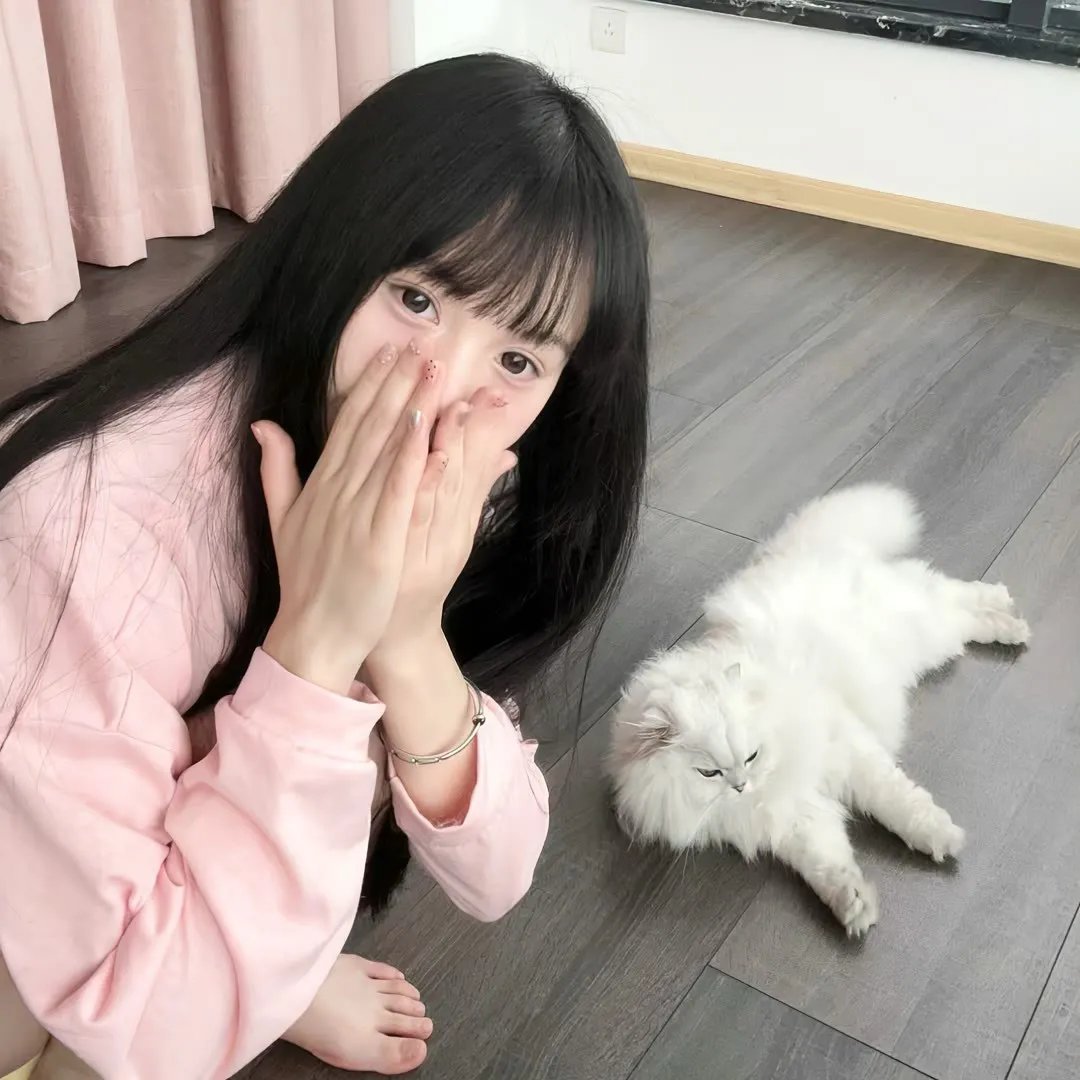 紫日 海报